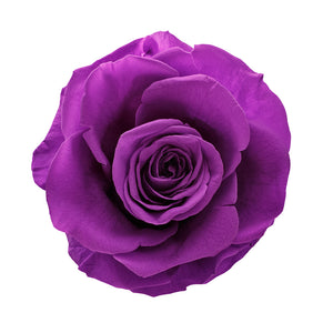 Small Dark Purple Infinity Rose in Glass Dome