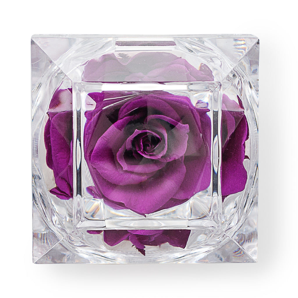 Konservierte dunkelviolette Rose Ringbox im Kristall-Look