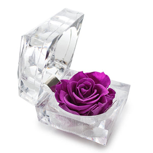 Konservierte dunkelviolette Rose Ringbox im Kristall-Look
