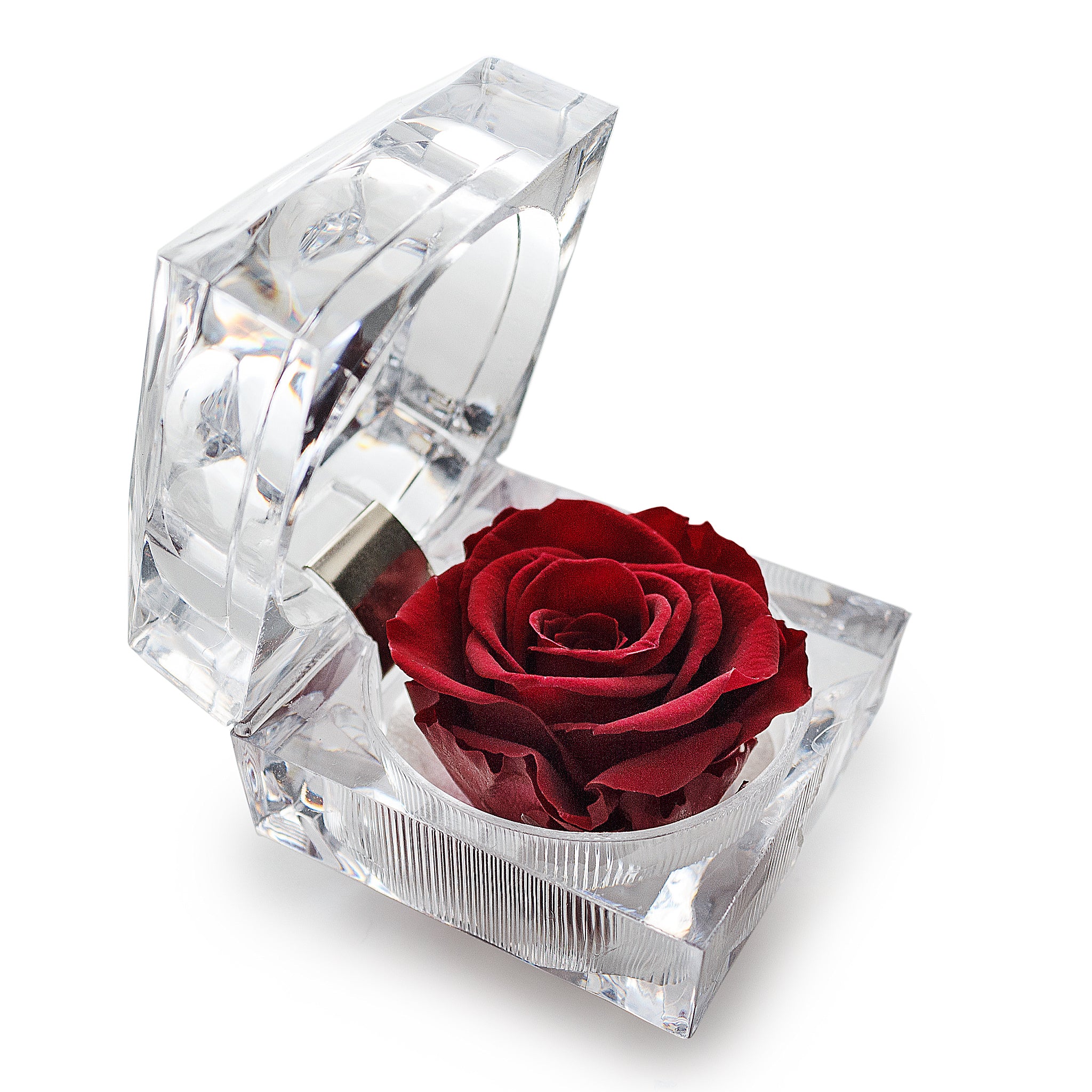 Konservierte weinrote Rose Ringbox im Kristall-Look