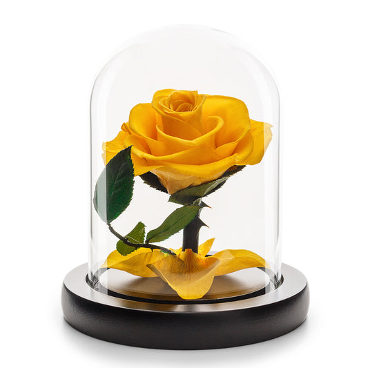 Eternity Yellow Rose in Glass Dome -1