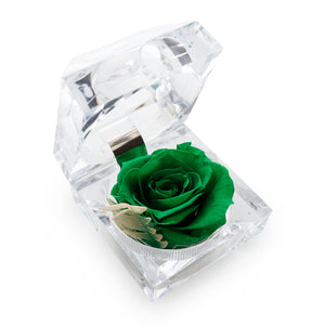 Konservierte grüne Rose Ringbox im Kristall-Look
