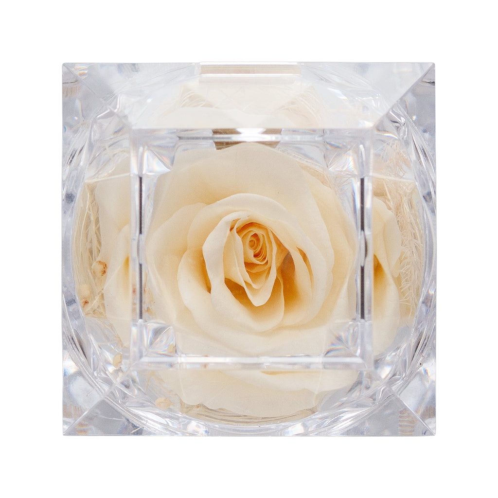 Konservierte champagner Rose Ringbox im Kristall-Look