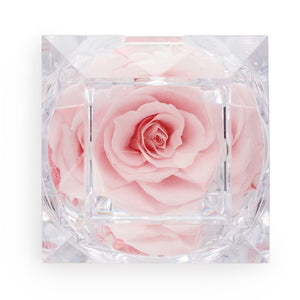 Light Pink - Preserved Rose Crystal Look Ring Box