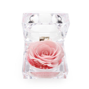 Konservierte hellrosa Rose Ringbox im Kristall-Look