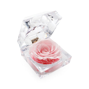 Konservierte hellrosa Rose Ringbox im Kristall-Look