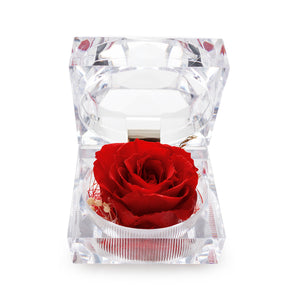 Konservierte rote Rose Ringbox im Kristall-Look