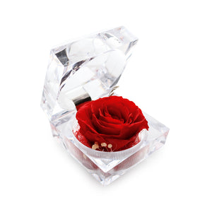 Konservierte rote Rose Ringbox im Kristall-Look