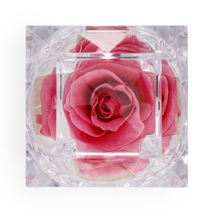 Preserved Pink Rose Crystal-Look Ring Box