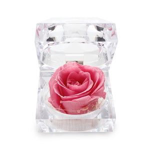 Konservierte rosa Rose Ringbox im Kristall-Look