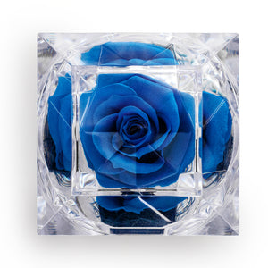 Preserved Royal Blue Rose Crystal-Look Ring Box