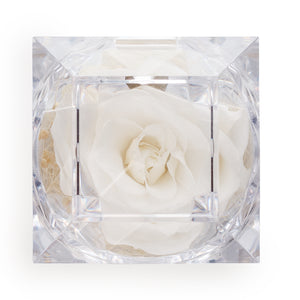 Konservierte weiße Rose Ringbox im Kristall-Look