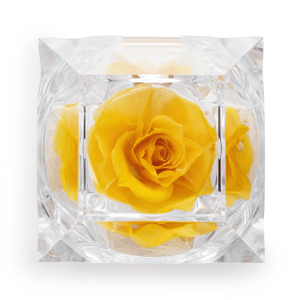 Preserved Yellow Rose Crystal-Look Ring Box